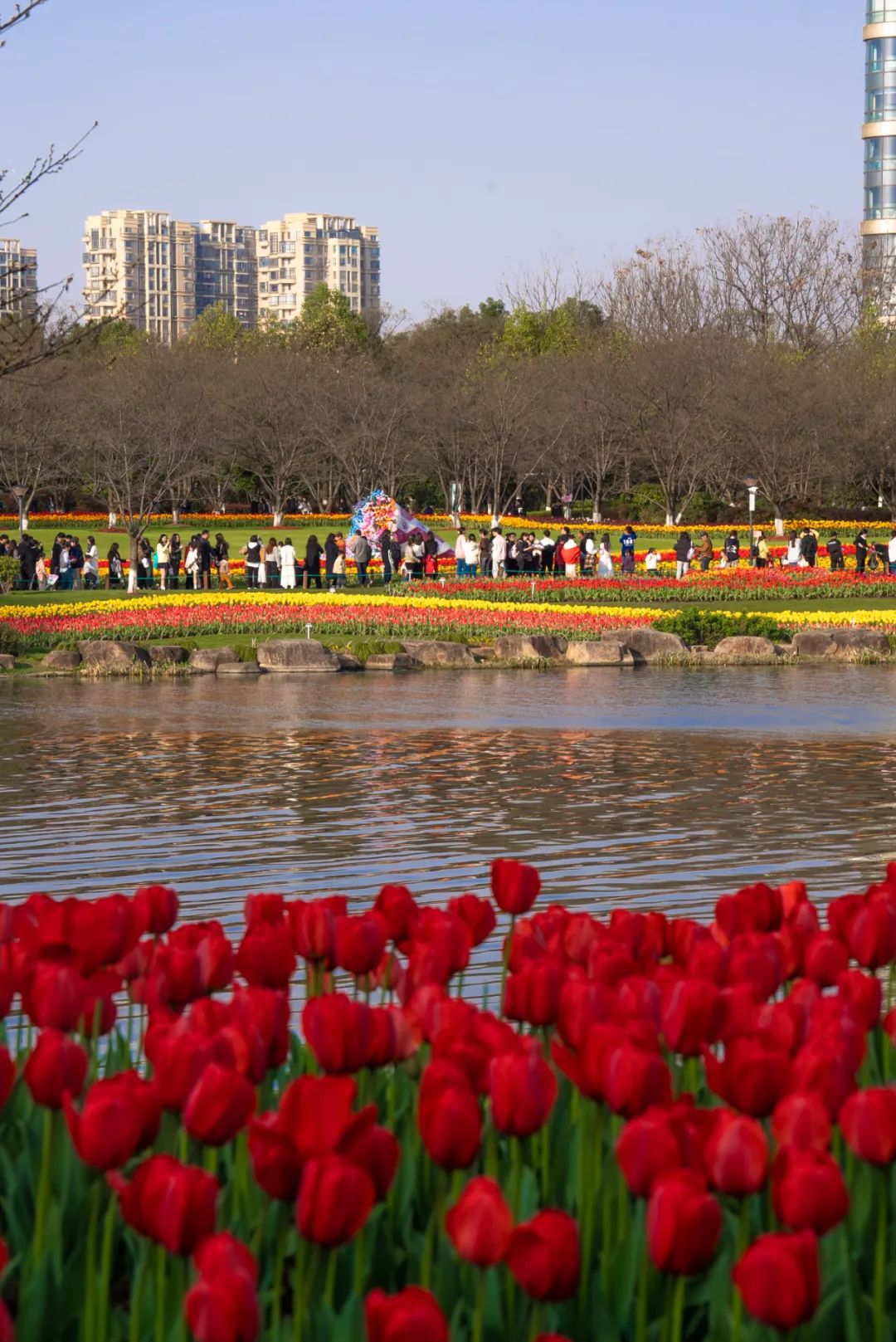 据不完全统计,上周末瓜渚湖公园共迎来了近13万人次的游客量,3月16日