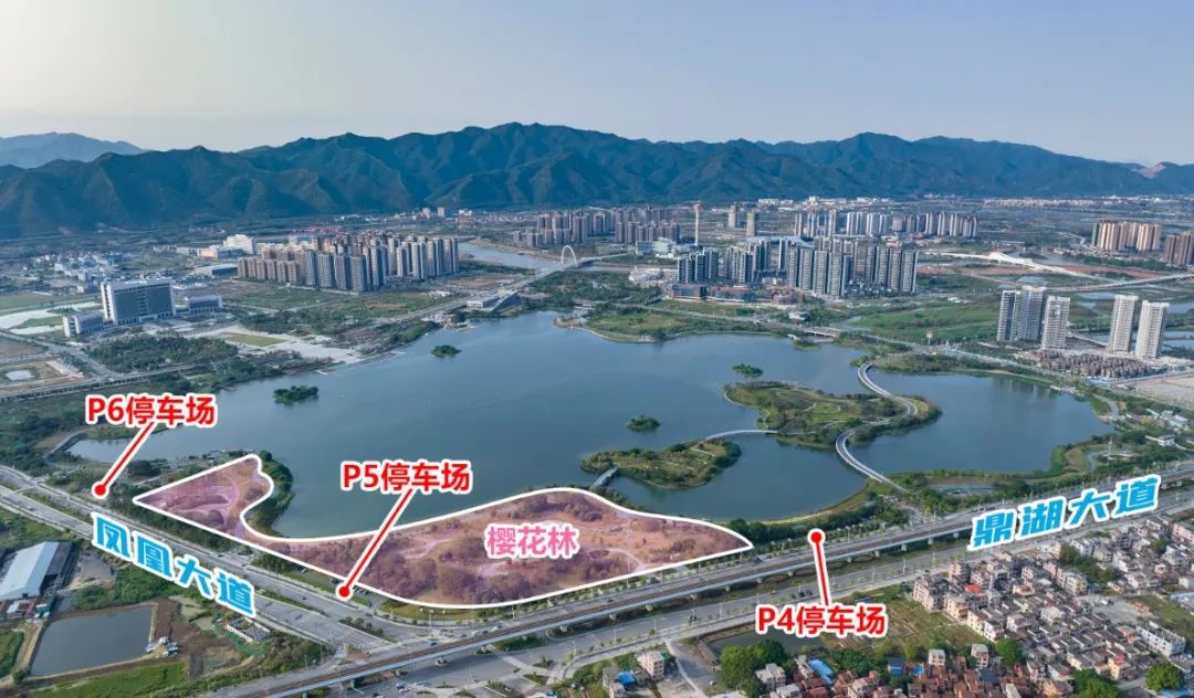 砚阳湖景区p4停车场广东省肇庆市鼎湖区鼎湖大道砚阳湖公园内来源