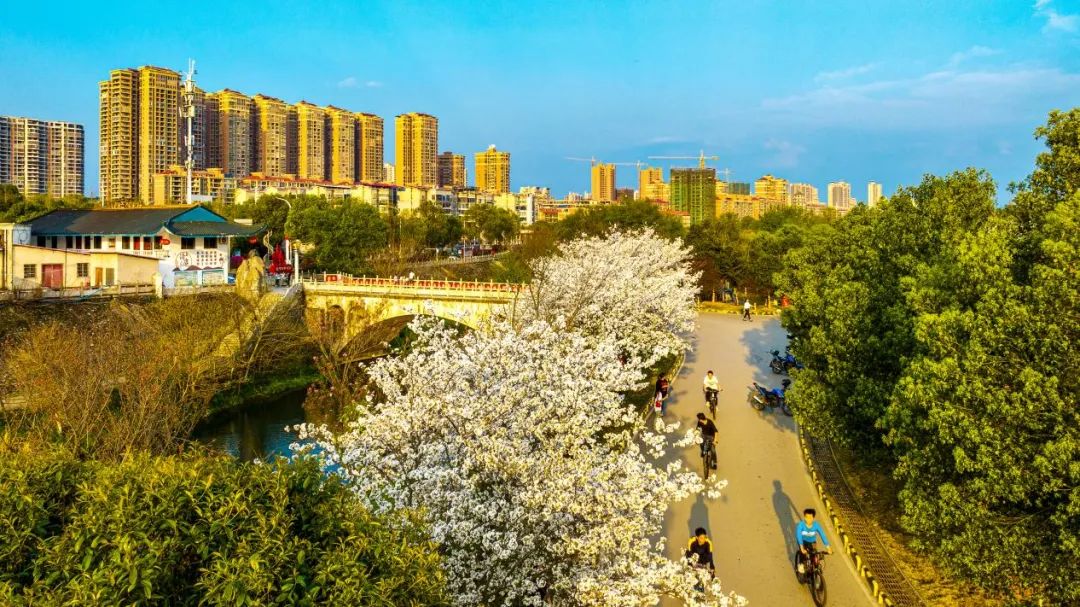 永州新闻纵览(3月25日)_澎湃号·政务_澎湃新闻-the paper