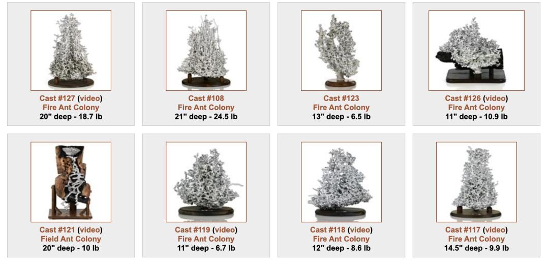 各种各样的蚁穴|anthillart加州理工学院的研究者想知道,蚂蚁是如何