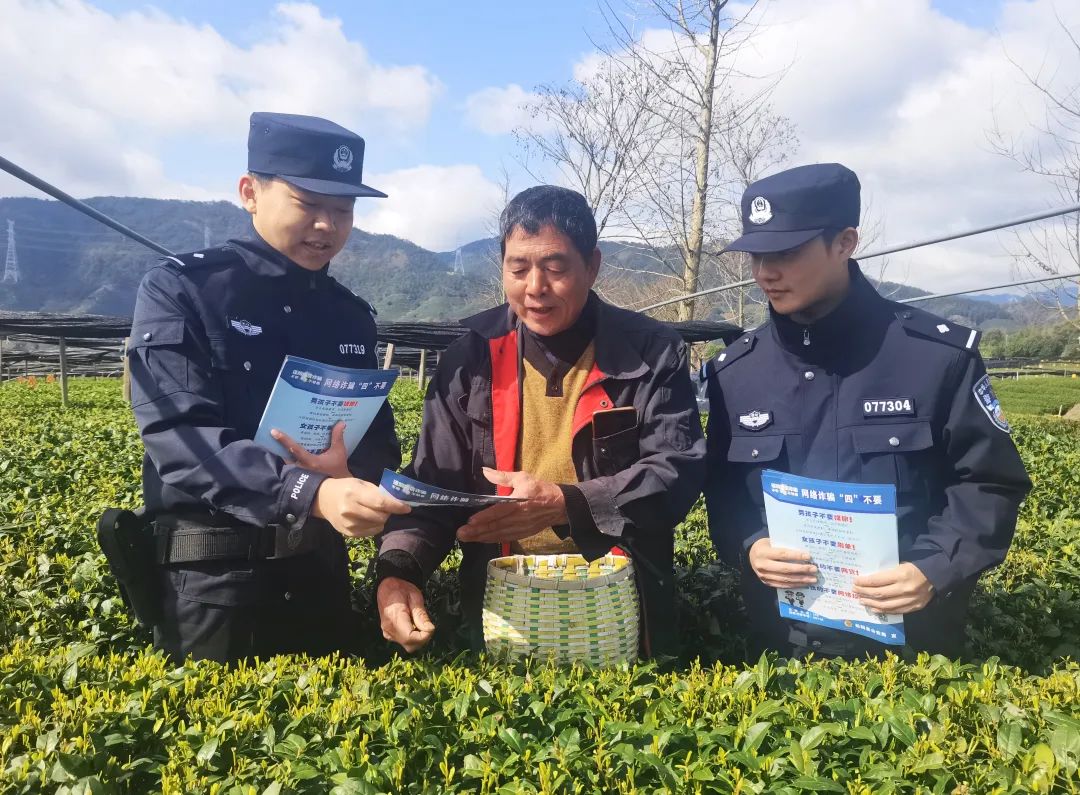 让"绿叶子"秒变"金叶子" 松阳探索"警茶共治"模式倾力护航"绿茶第一市
