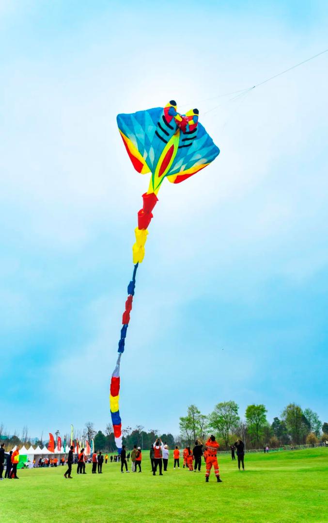 风筝 677_1078 竖版 竖屏