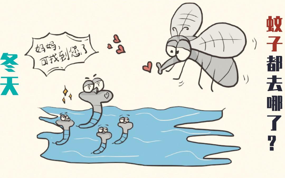 澎湃号·政务_澎湃新闻-the paper