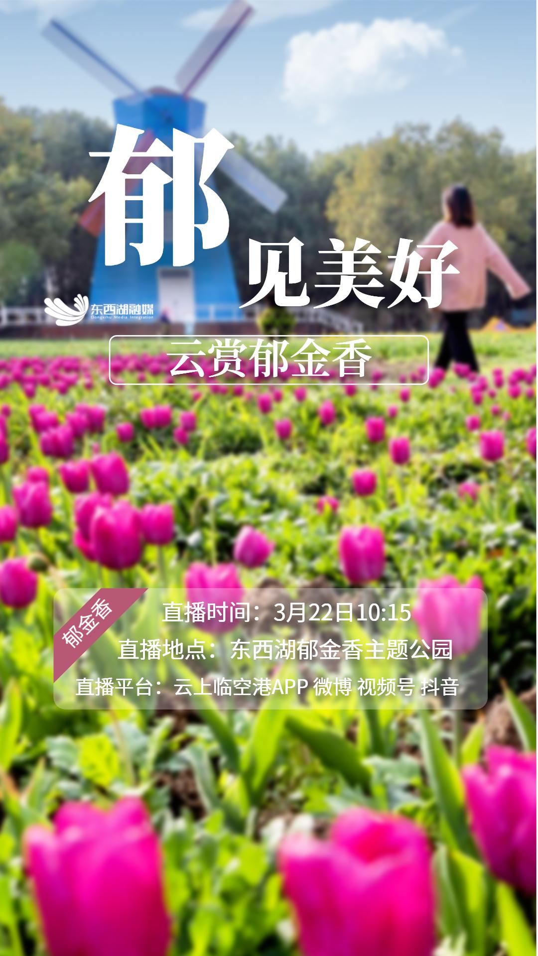 一起去看郁金香