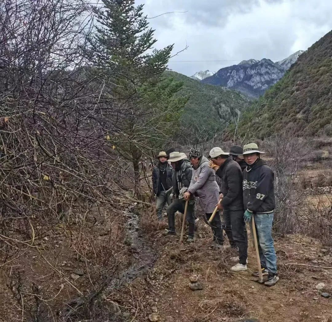 【乡城零距离】党员群众齐上阵 清沟畅渠助春耕_澎湃号·政务_澎湃