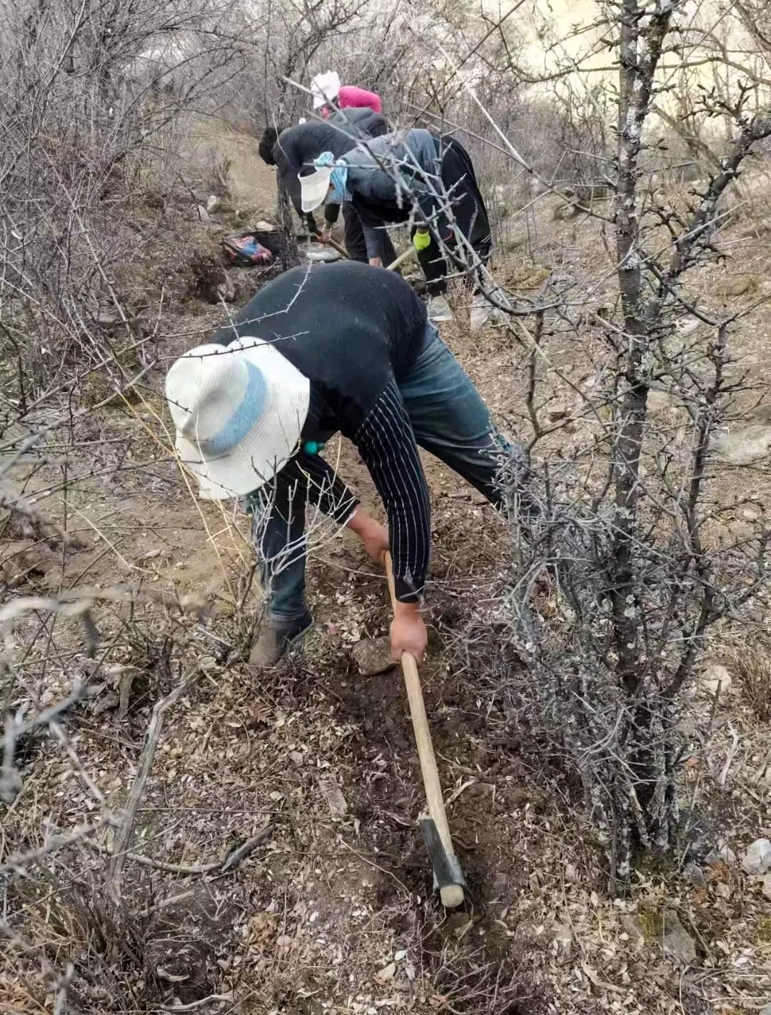 乡城零距离党员群众齐上阵清沟畅渠助春耕