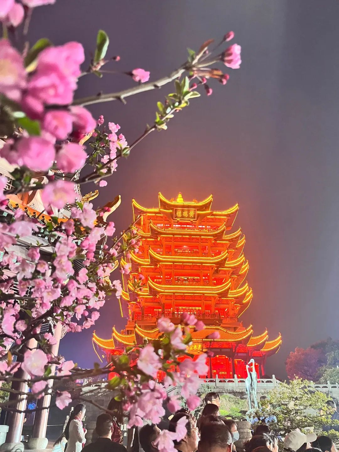 澎湃号·政务_澎湃新闻-the paper