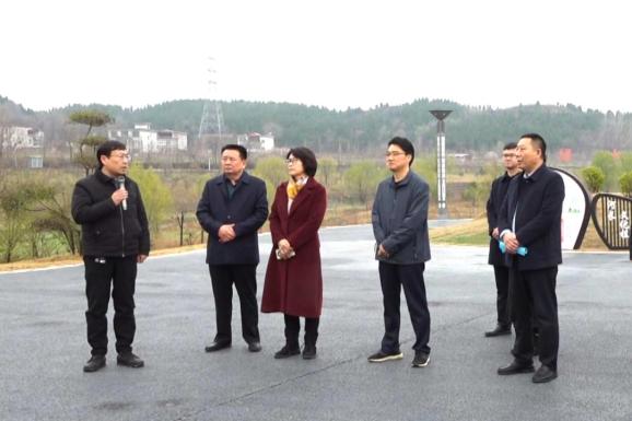 王燕飞来新视察黄河流域水环境持续提升工作_澎湃号·政务_澎湃新闻