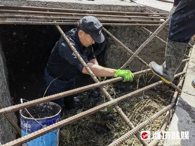 峡山区岞山村:一串"文明村""示范村"荣誉的背后_澎湃号·政务_澎湃