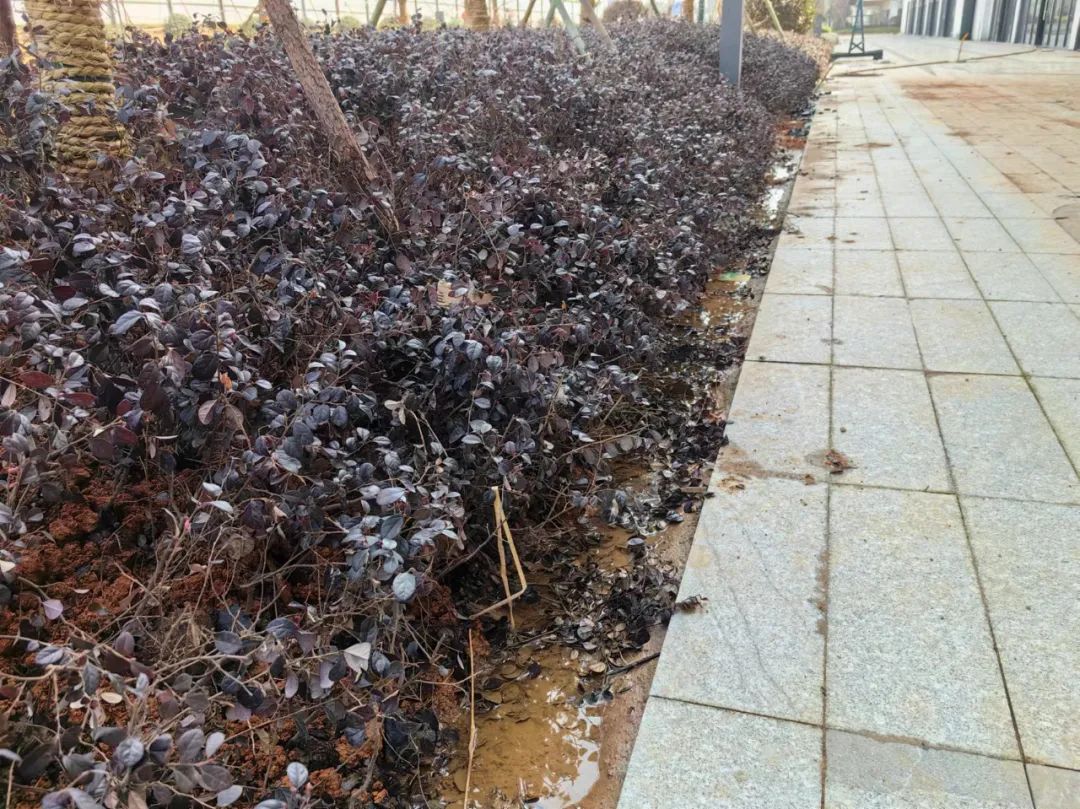 督查通报涉及鹰潭中心城区月湖区