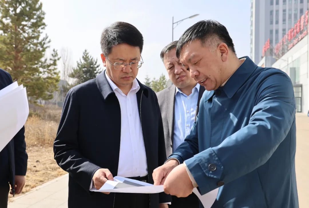 吴云到临港经济区综合保税区调研氢能产业园及重点项目建设情况