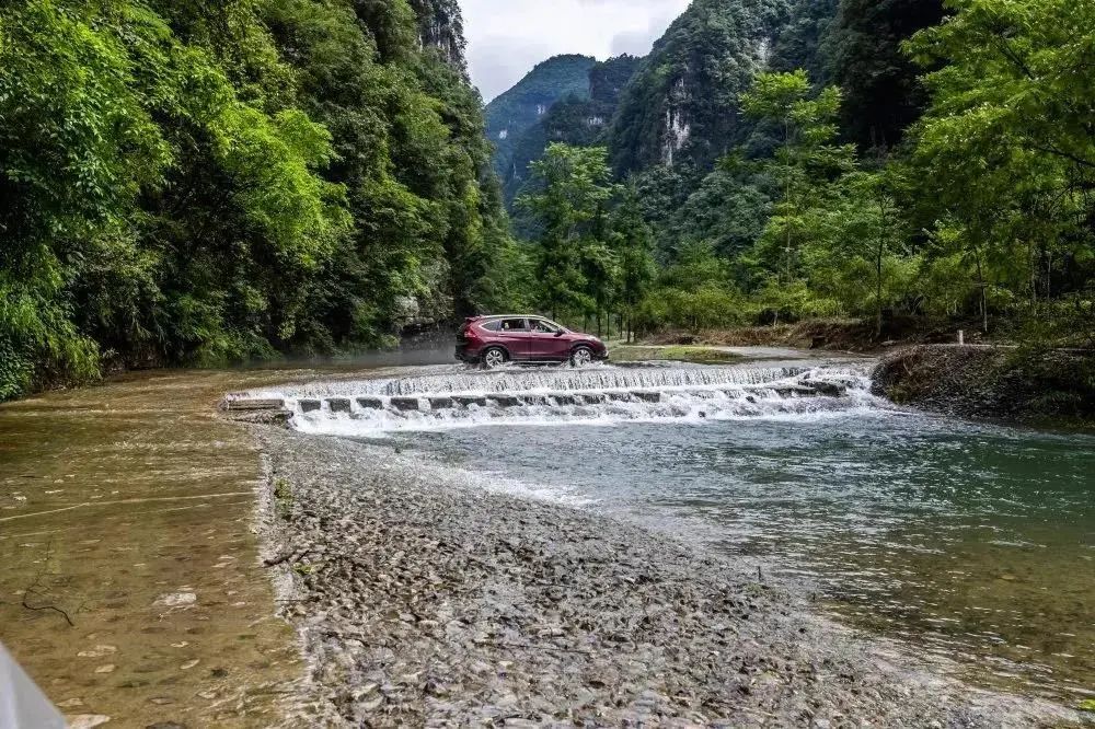 乡游黔中绥阳县大溪村早春来临茶山已醒