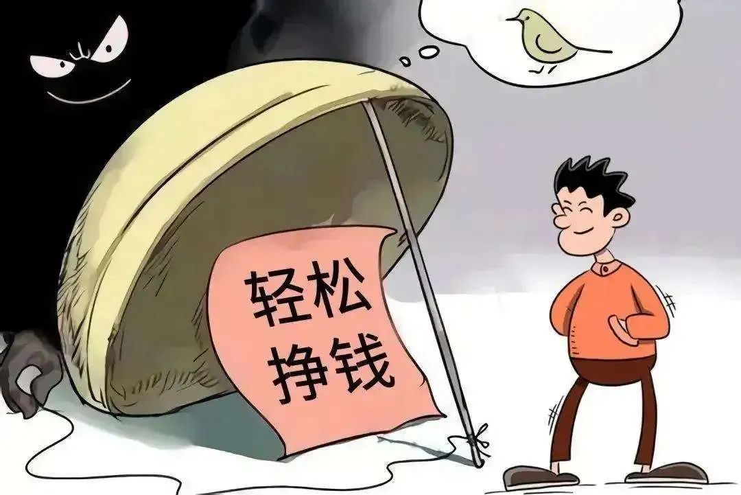 全南95后小伙赚钱不成反获刑