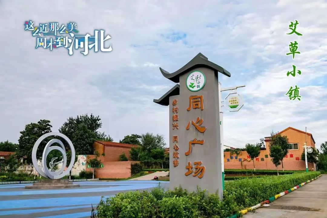 追逐春日打开艾草小镇绝美春光