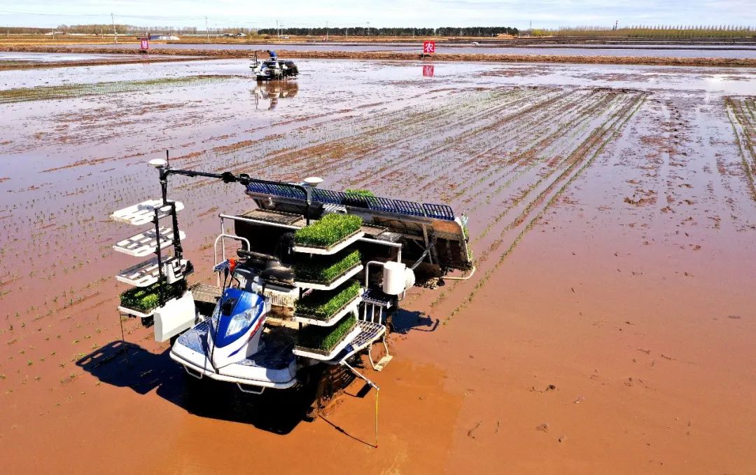 澎湃号·政务_澎湃新闻-the paper