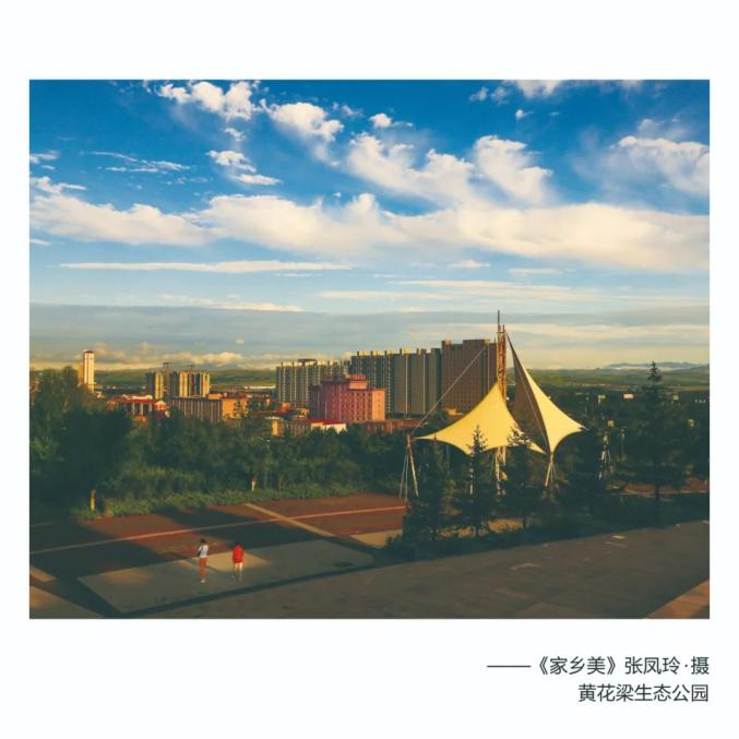 龙"兴"盛世 大"展"鸿"图" ——四地摄影联展作品展播(兴和县)_澎湃号