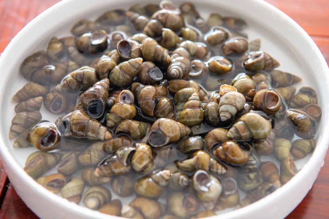 "太子螺蛳"你吃过吗?