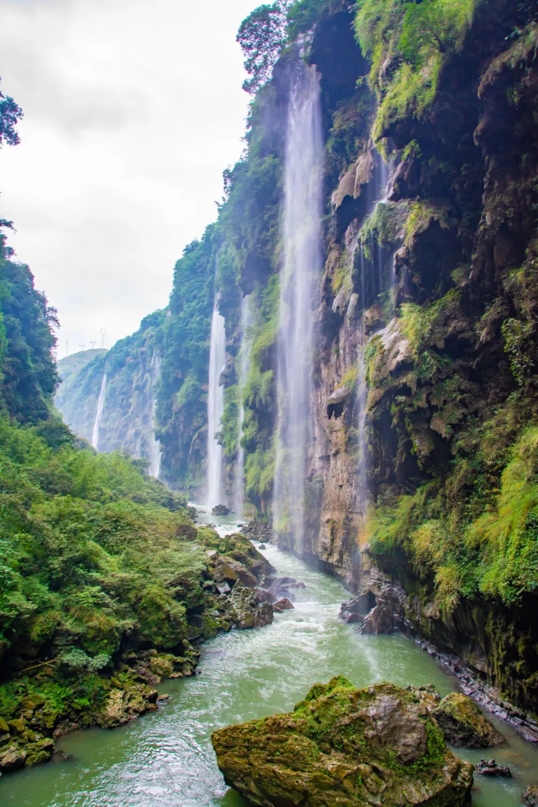 贵州10万大山图片