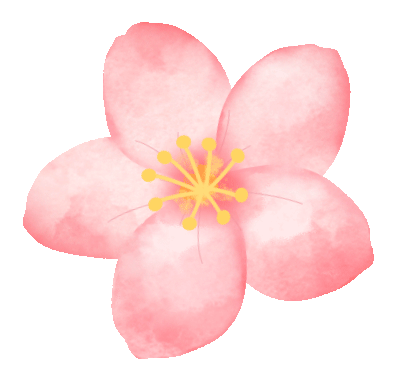 盆樱花点击擦去镜头的雾,近赏阳光樱↓地点:万林艺术博物馆前草坪花瓣