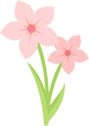 郁金香赏花点推荐三穗县贵洞景区春天的温柔,满眼都是郁金香.