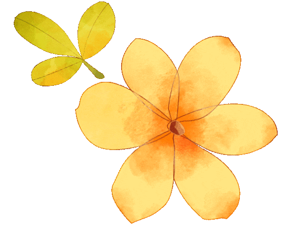 赏花点推荐三穗县贵洞景区春天的温柔,满眼都是郁金香.