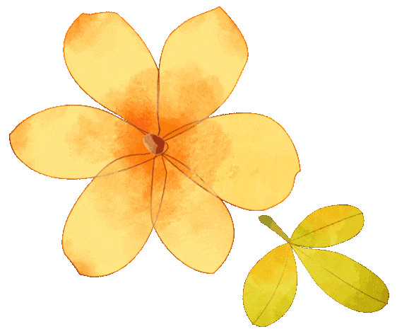 三穗县贵洞景区春天的温柔,满眼都是郁金香.