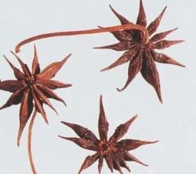 这种"八角"有剧毒!已有人中招_澎湃号·政务_澎湃新闻-the paper