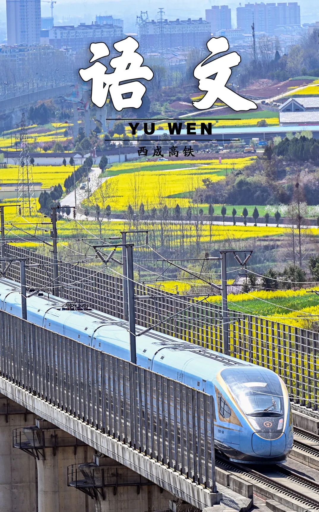 澎湃号·政务_澎湃新闻-the paper