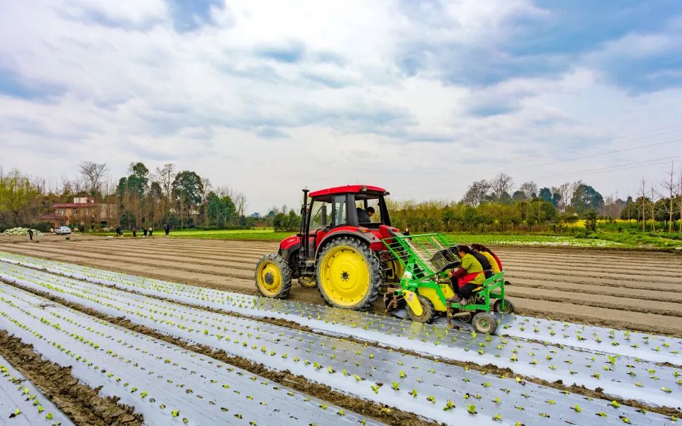 补贴高达400万元郫都区实施乡村振兴战略促进产业发展的支持政策来了