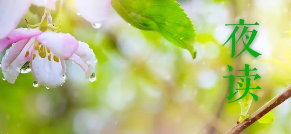 鲍尔吉·原野:没有人在春雨里哭泣_澎湃号·湃客_澎湃新闻-the paper