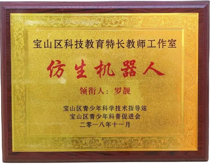 滑动查看全文罗靓老师是宝山区仿生机器人科技特长教师工作室的领衔人