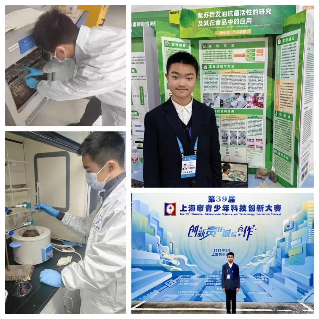 喜报再添247个奖项看全国科学教育试验区的师生们都在关注哪些科学