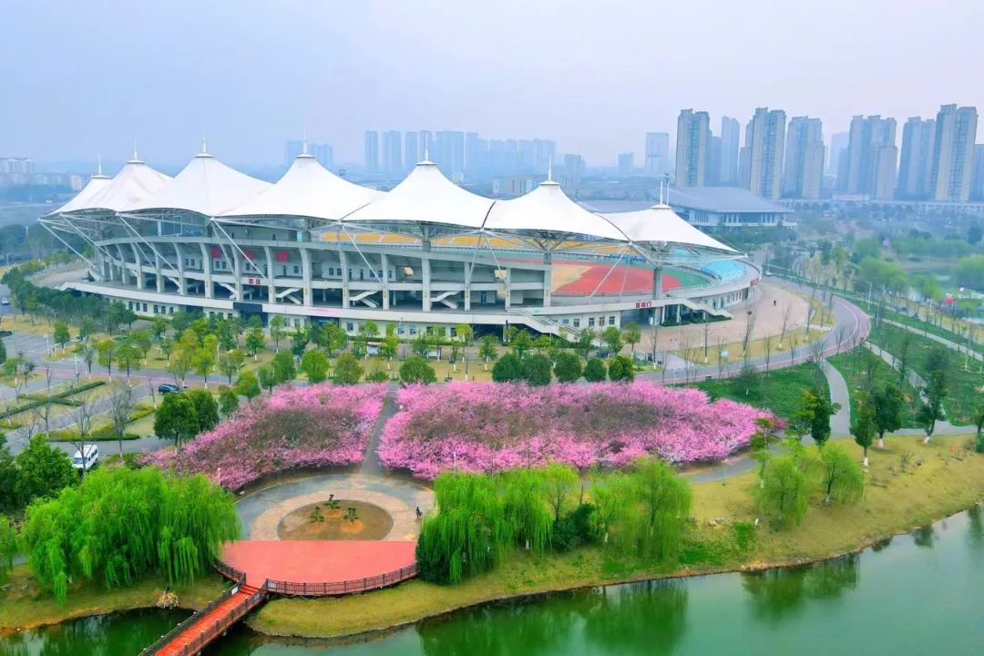 遇见枝江海棠共赴春日之约