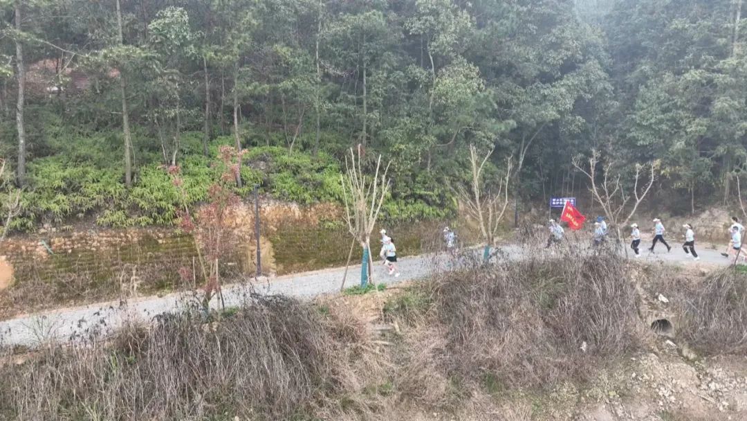 此次比赛分为21km的半马组和10km的健步跑,沿翠屏湖环湖森林步道,从坂