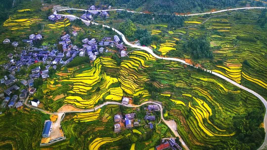 四好路上踏歌行⑤丨三门:建设全域"四好农村路" 推进湾区互联互通