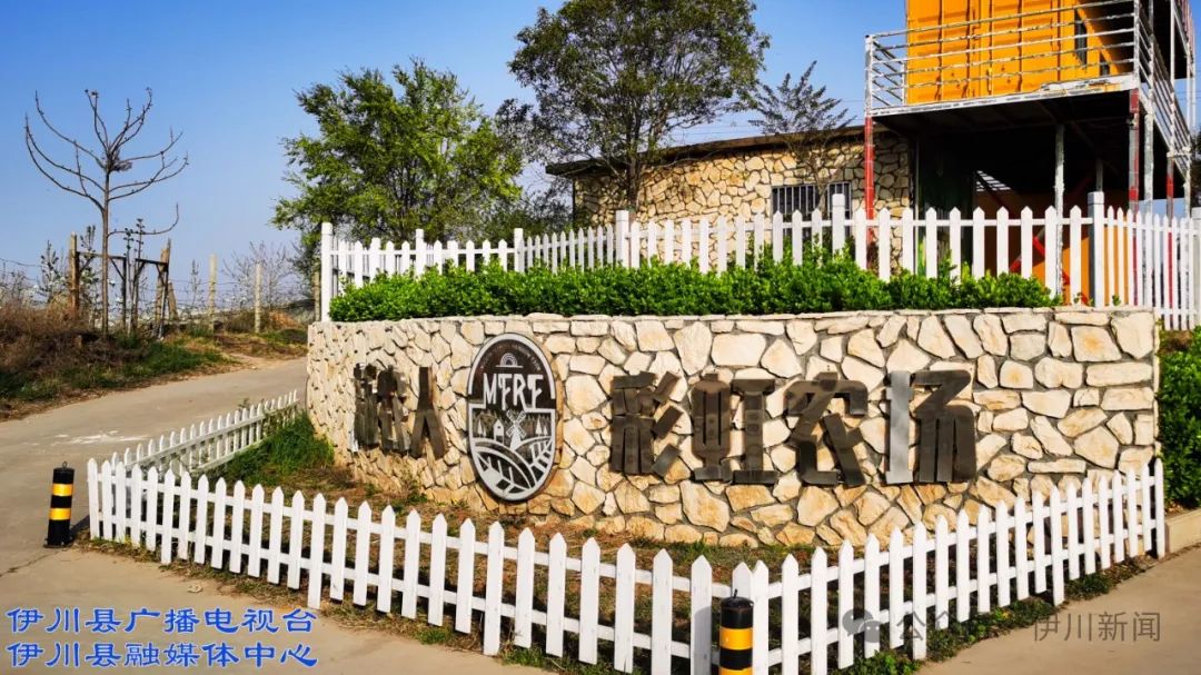 日前,水寨镇韦村浙江草莓园的工作人员忙得不亦乐乎,从采摘,装筐,称重