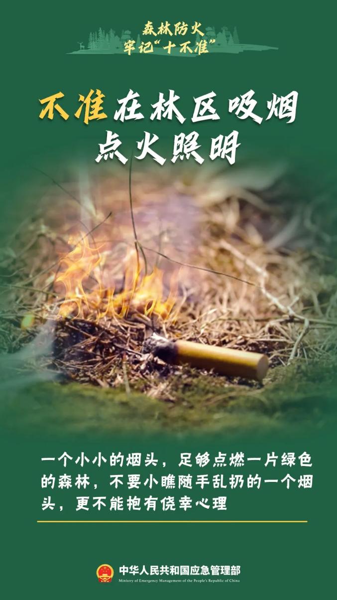 清明将至,文明祭祀记心中_澎湃号·政务_澎湃新闻-the paper