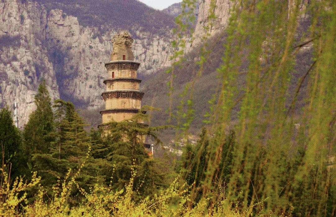 邂逅·峰峰,把最美的春景送给你~_澎湃号·政务_澎湃新闻-the paper