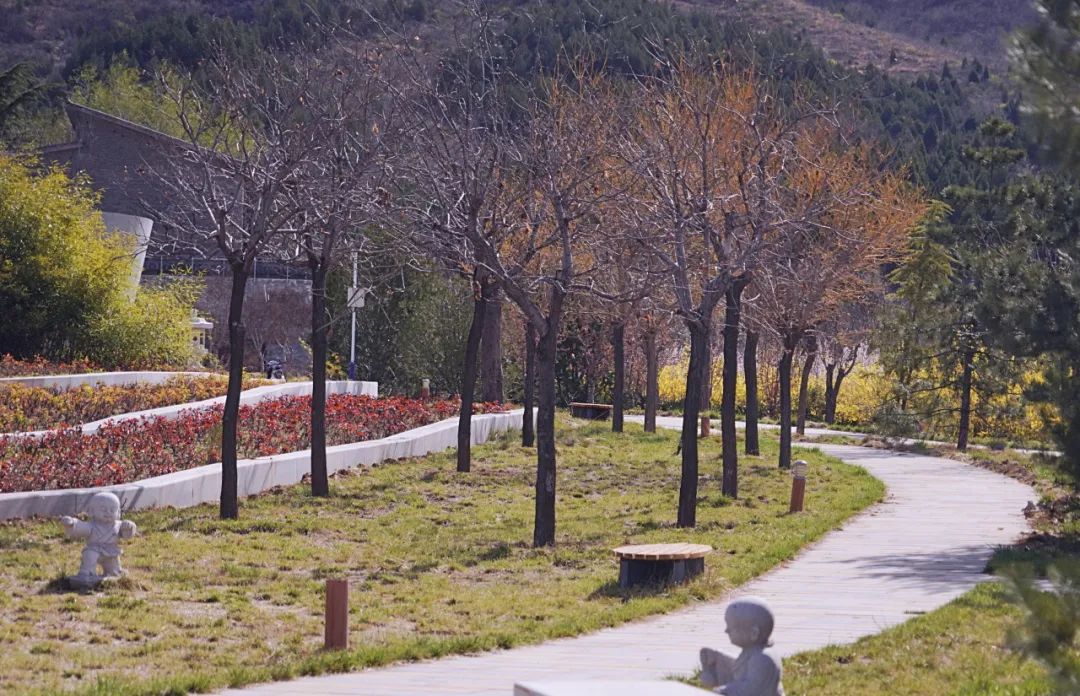 邂逅·峰峰,把最美的春景送给你~_澎湃号·政务_澎湃新闻-the paper