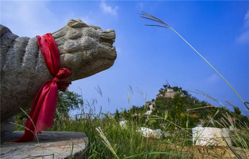 邂逅·峰峰,把最美的春景送给你~_澎湃号·政务_澎湃新闻-the paper