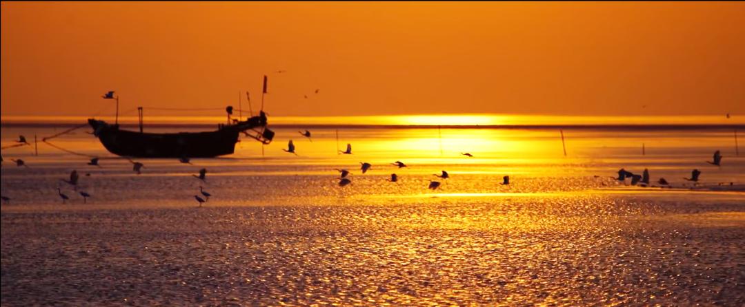 必须来东台!_澎湃号·政务_澎湃