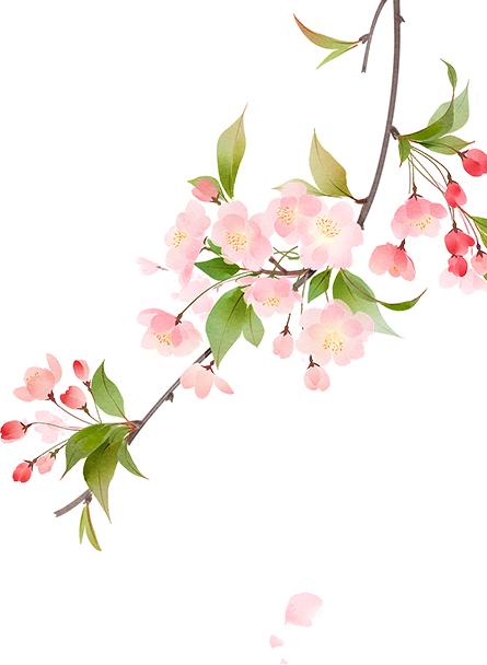 和兰朋友的故事来听