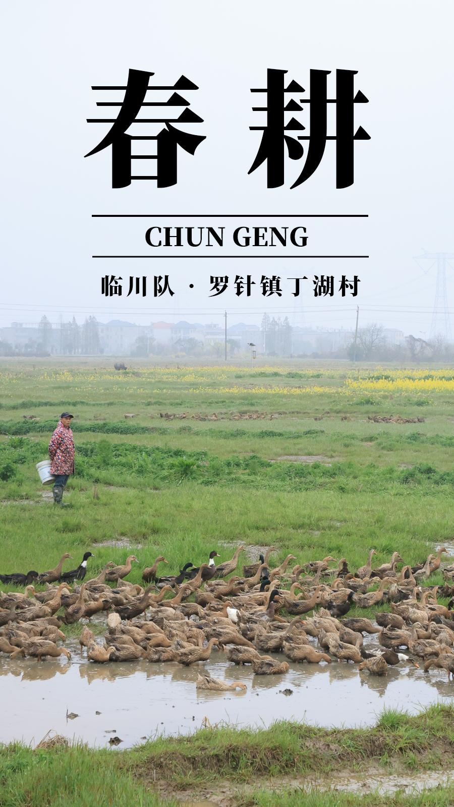 澎湃号·政务_澎湃新闻-the paper