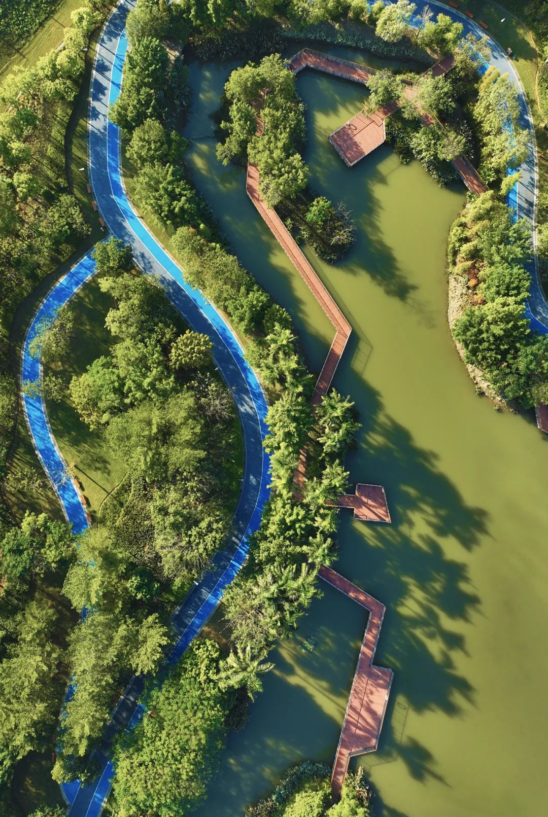 有一种自带滤镜的美,叫新区的水~_澎湃号·政务_澎湃新闻-the paper