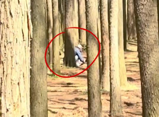 跟着社交平台上的"打野"攻略,记者来到了共青森林公园,刚进南门就看到