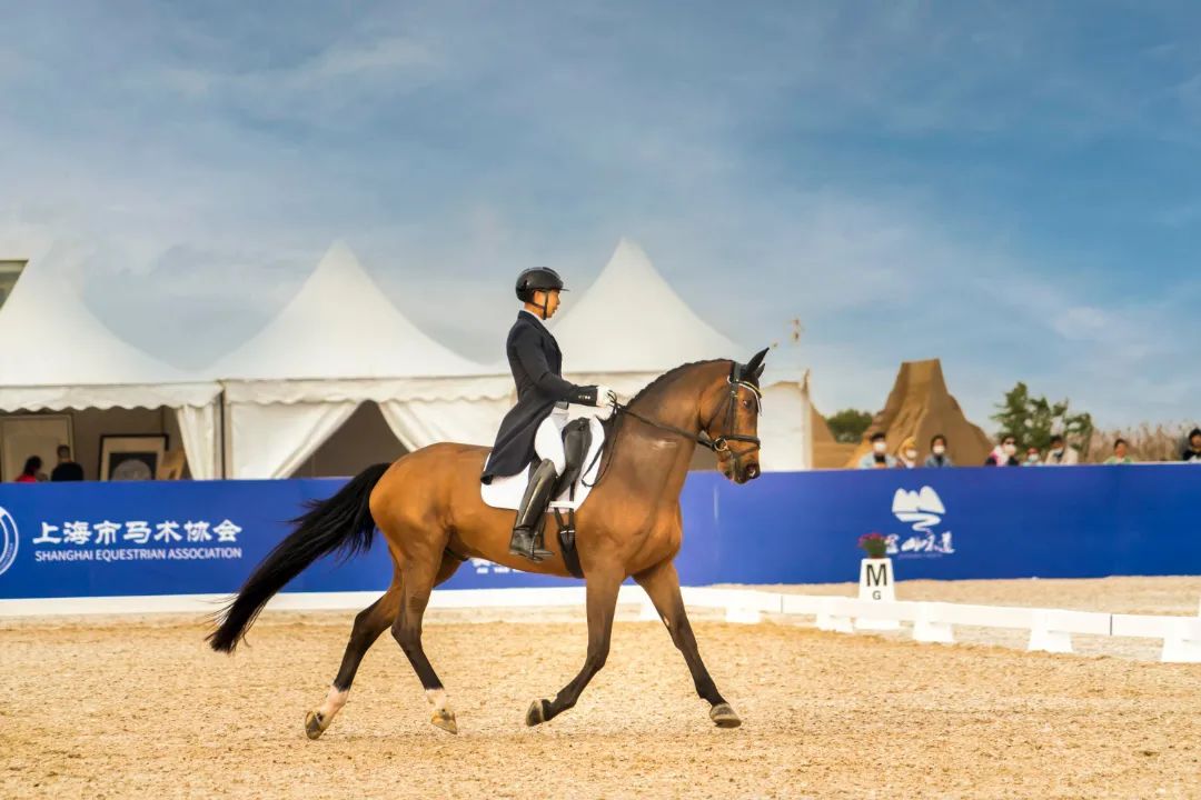 本周末,马术盛装舞步,就在金山城市沙滩→_澎湃号·政务_澎湃新闻-the