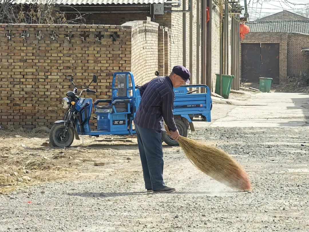 北张乡:除黑臭水体,还绿水于民_澎湃号·政务_澎湃新闻-the paper