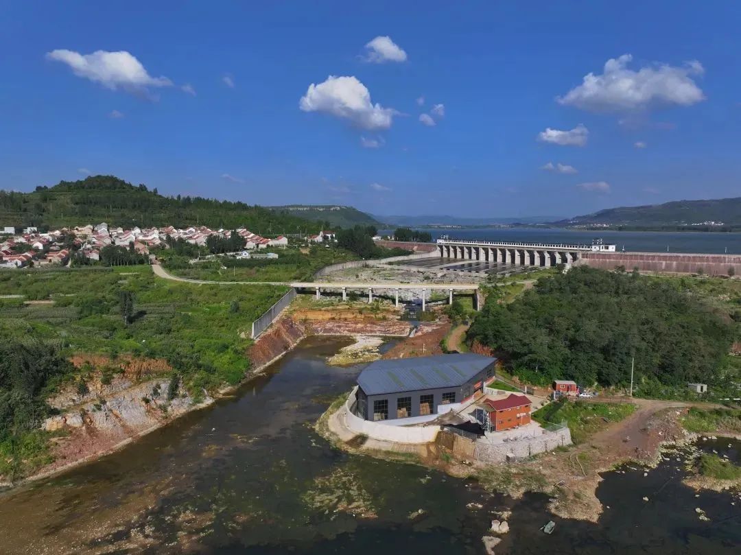 来看ai复原当年"山东人"!_号