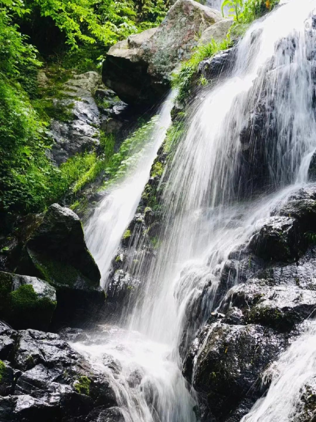 徒步春山,去走春天的路追寻春风的轨迹