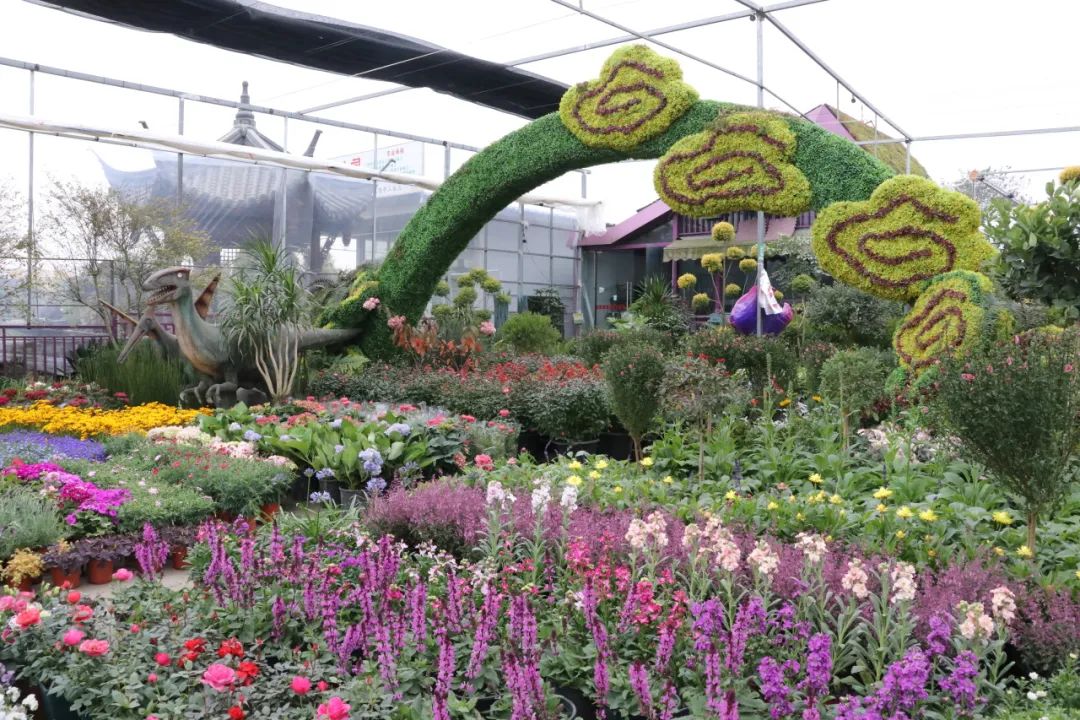 30天后,我们相约成都_澎湃号·政务_澎湃新闻-the paper